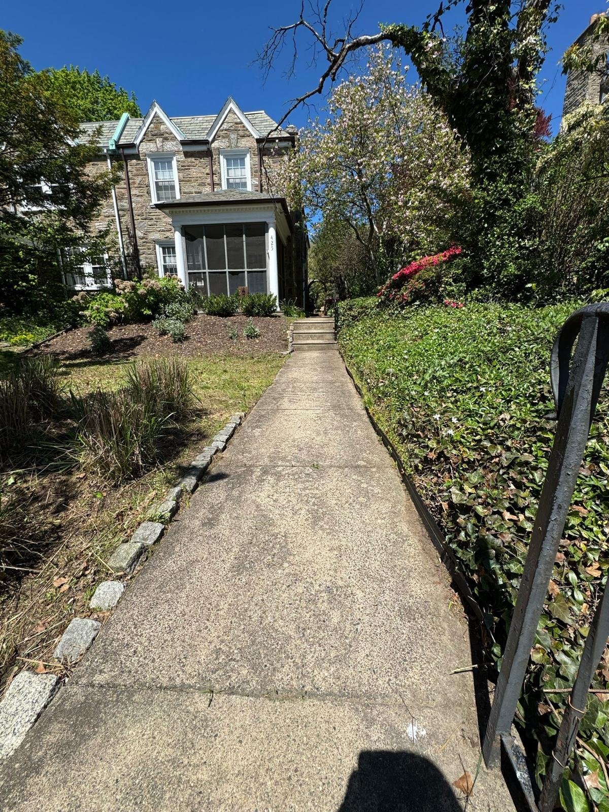 Yard cleanup work by Green Force Property Services